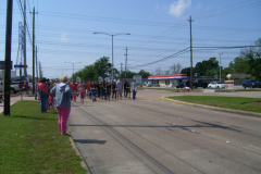 STP61913